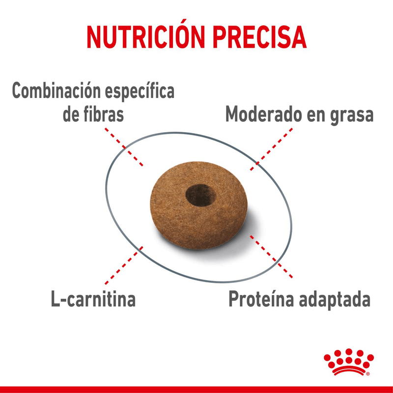 croqueta