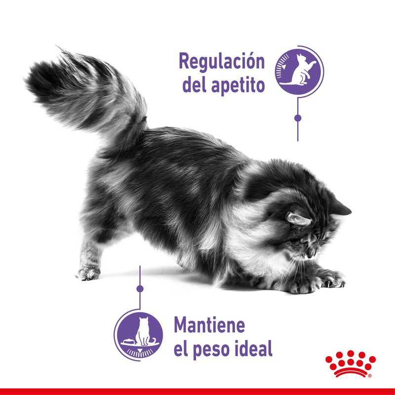 beneficios