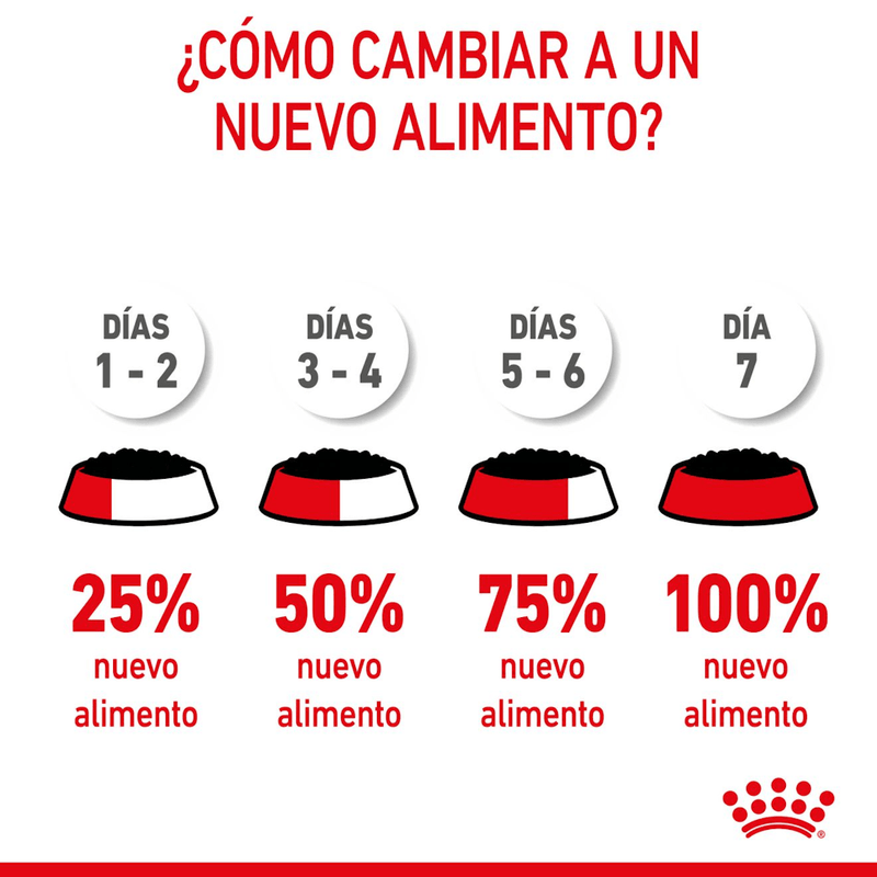 transicion