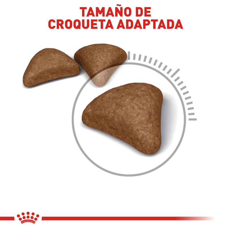 croqueta