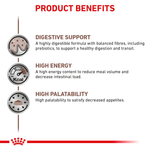 Beneficios-del-alimento-humedo-en-lata-Gastro-High-Energy-Dog-para-perros-adultos-con-problemas-digestivos