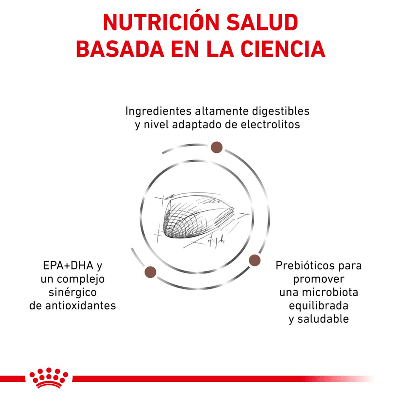 ciencia