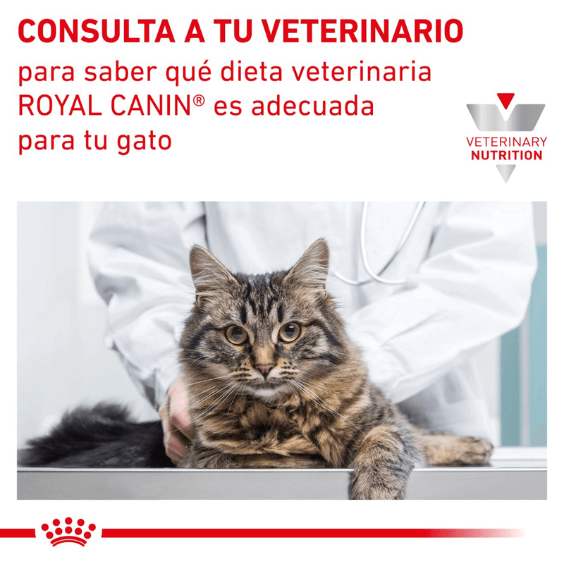 veterinario