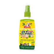 FRASCO FRESHLY CATNIP