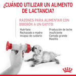 instrucciones