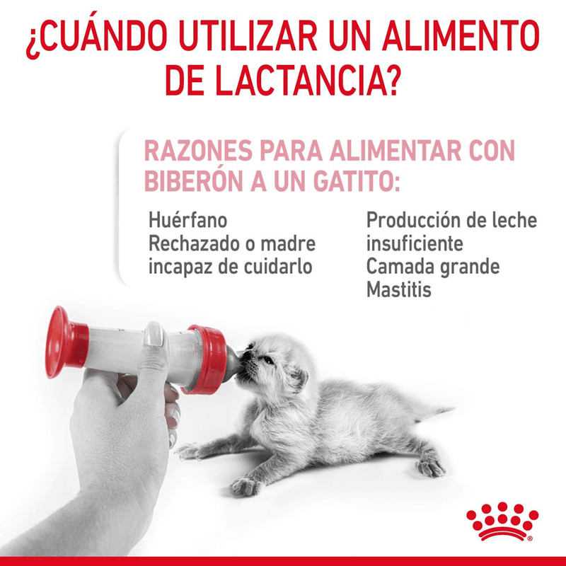 instrucciones