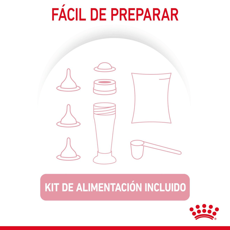 preparacion