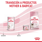 transicion