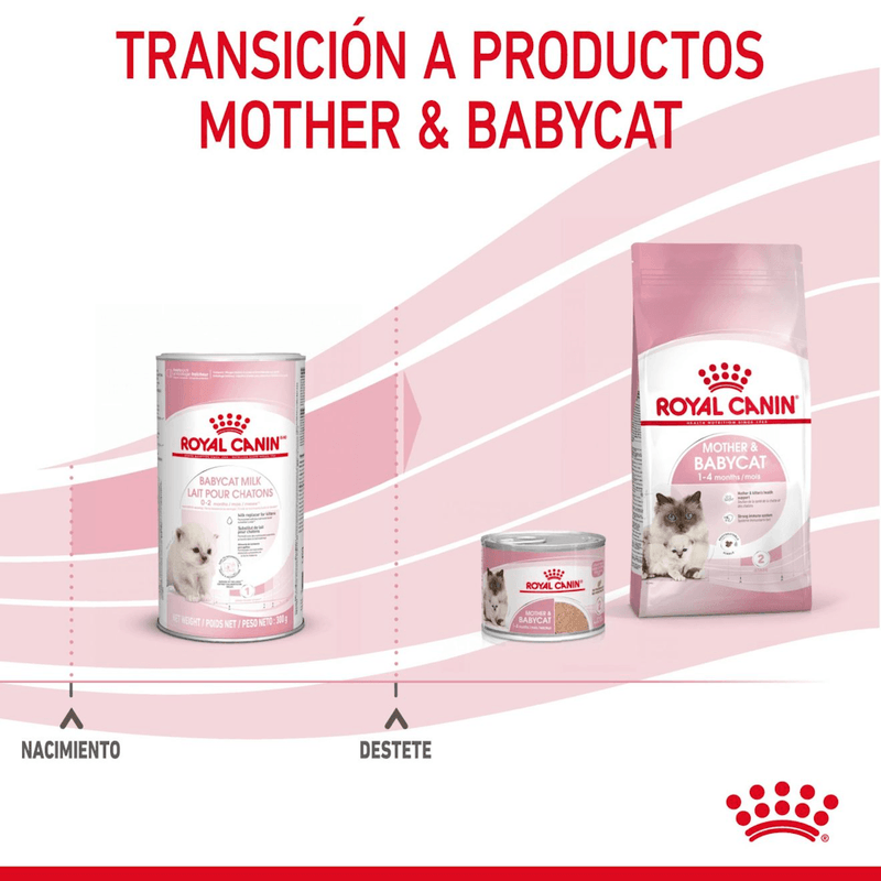 transicion