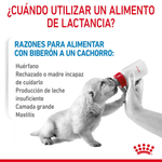 instrucciones