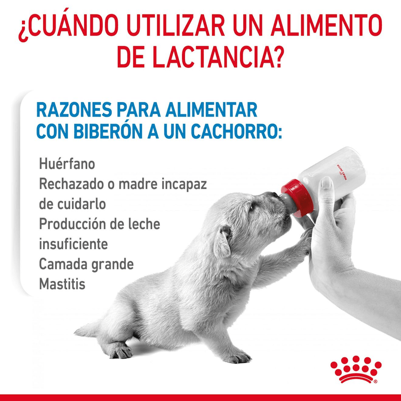 instrucciones