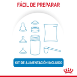 preparacion