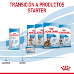 transicion