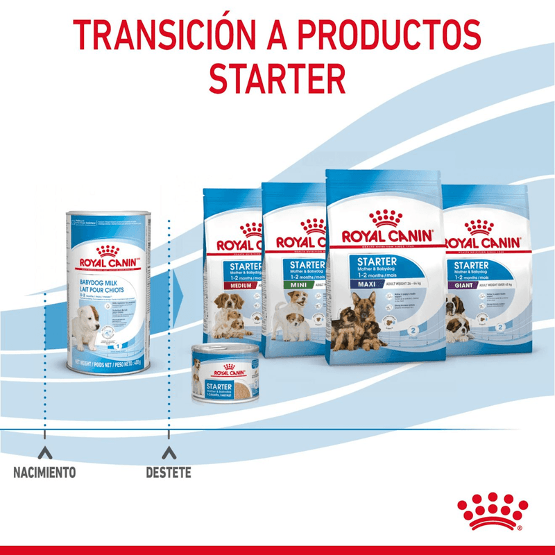 transicion