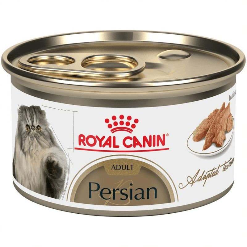 Alimento Para Gatos Adultos Royal Canin Feline FHN Lata H Ageing 12+ Wet -1755206269319