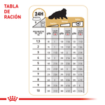 Alimento Para Gatos Adultos Royal Canin Feline FHN Lata H Ageing 12+ Wet -1755207173538