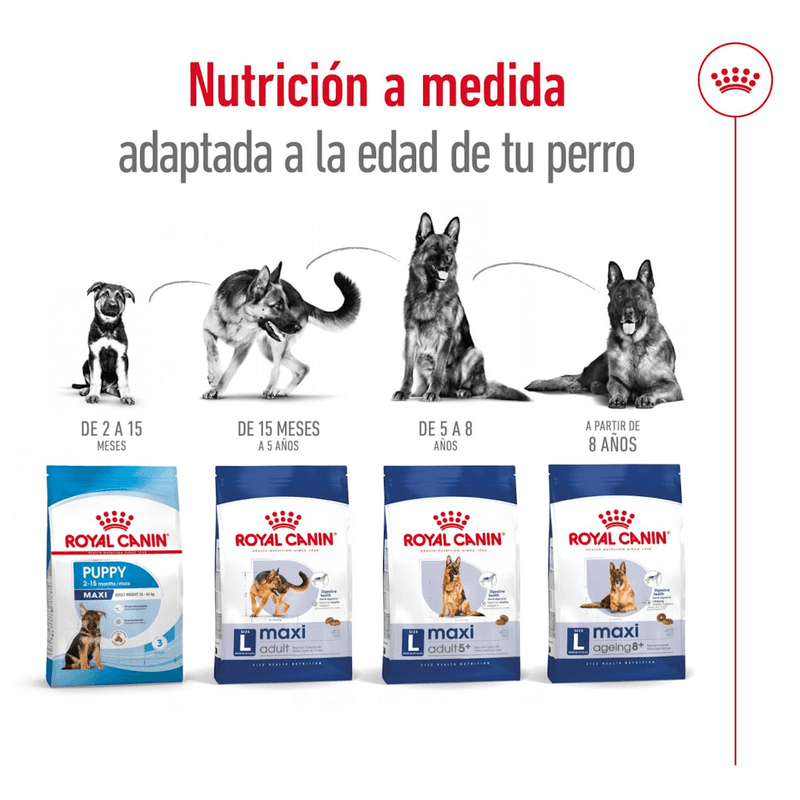 adaptado