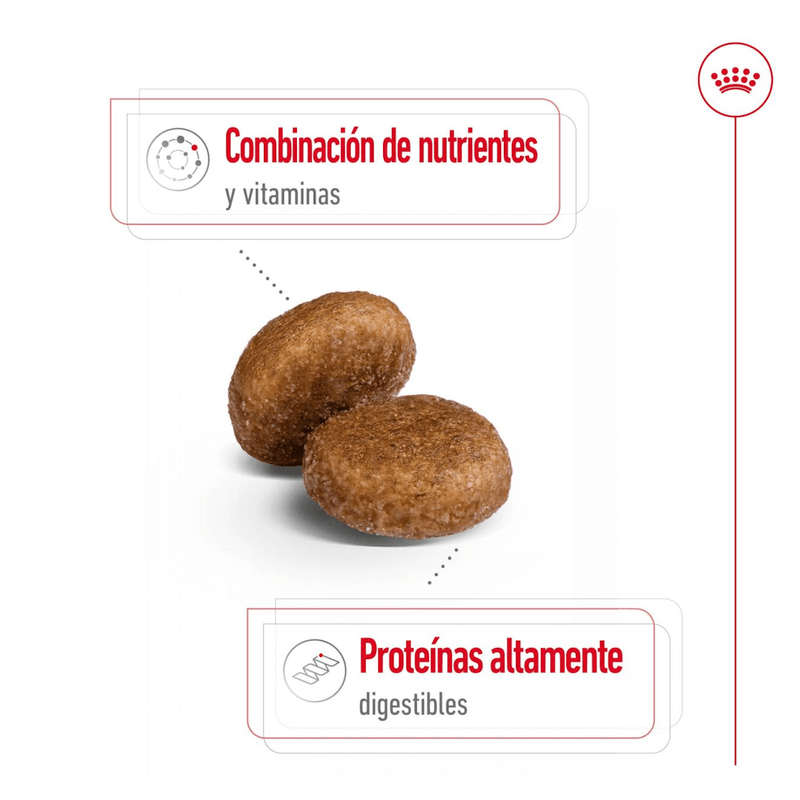 croqueta
