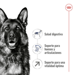 nutricion