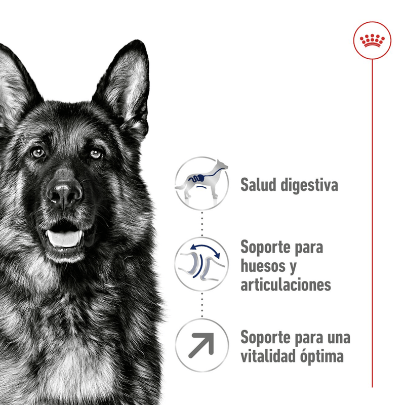 nutricion
