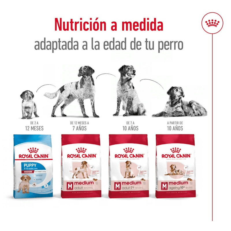 adaptado