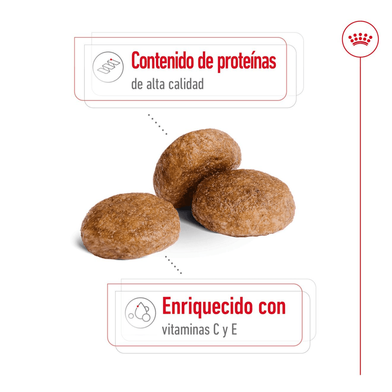 croqueta