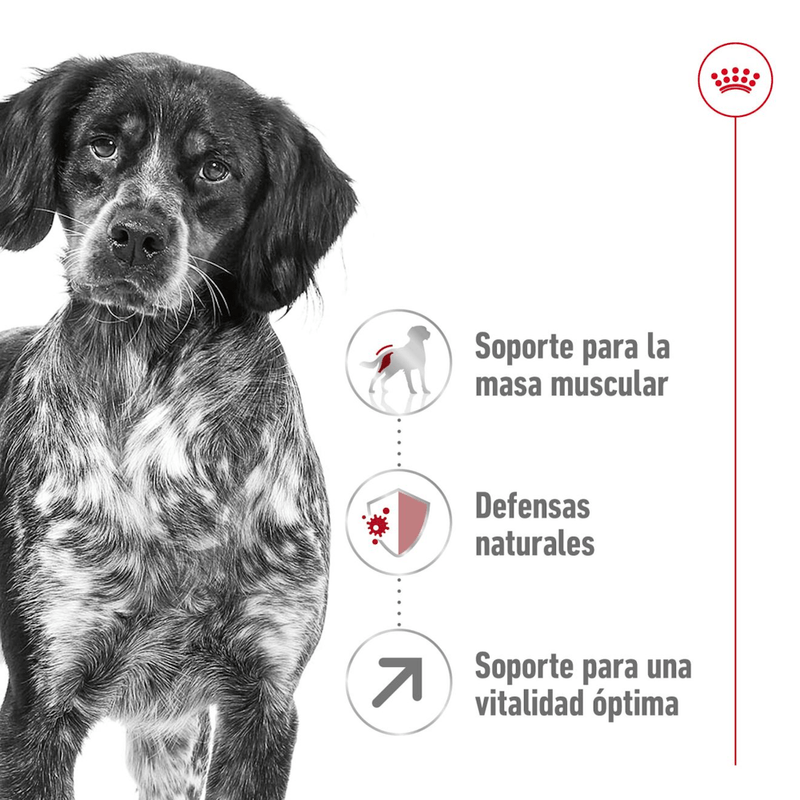 nutricion