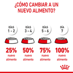 transicion