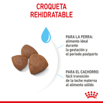 croqueta