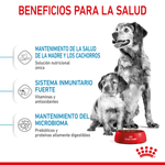 beneficios