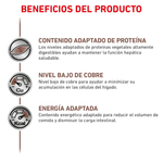 beneficios
